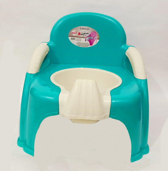 Kids Potty Chair