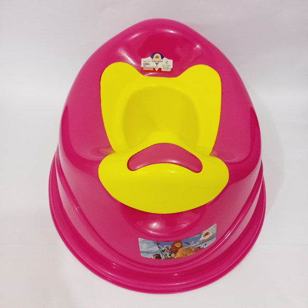 Kids Potty Chair