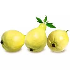 Guava - Fruit