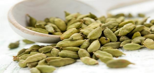 Cardamom