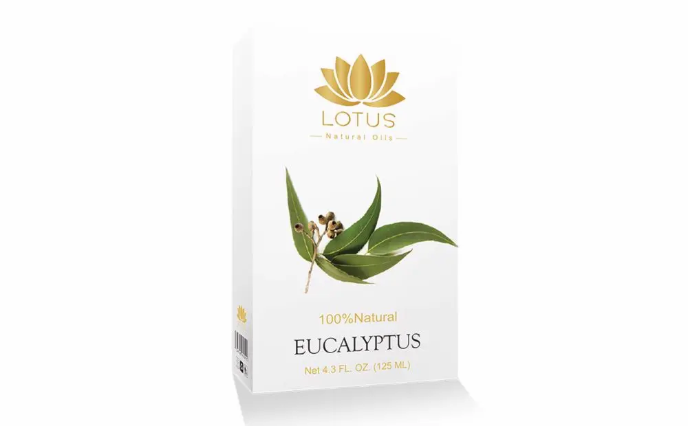Eucalyptus Oil